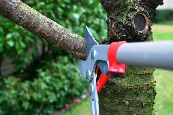 tree services Palouse